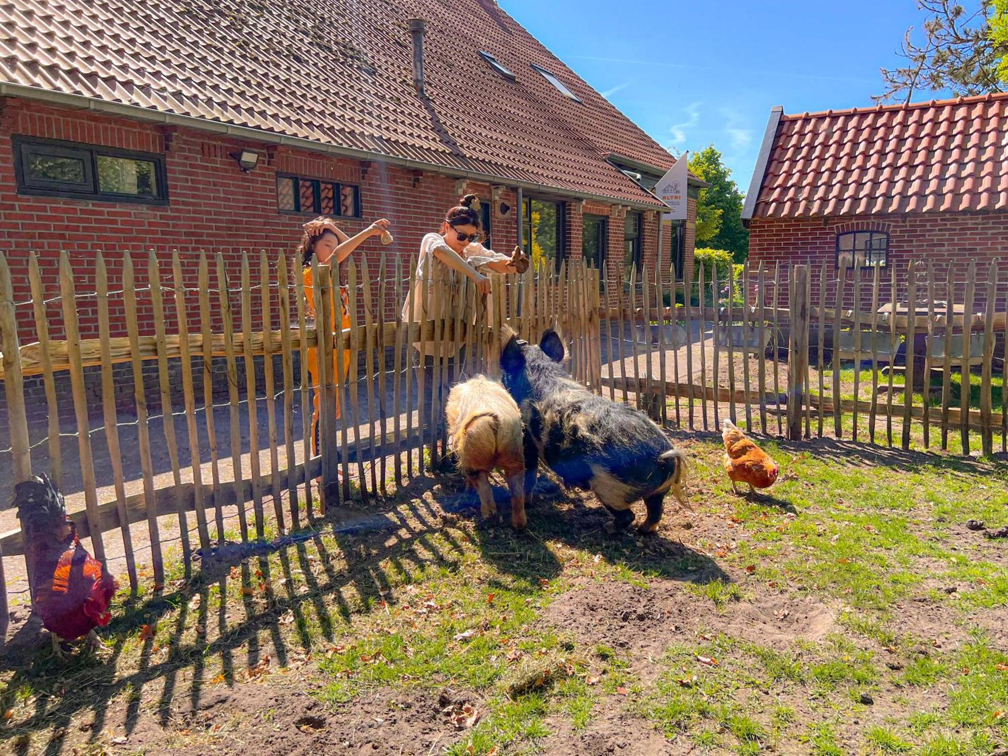 Gastenverblijf In Boerderij In Oost-Groningen Wedde Exterior photo